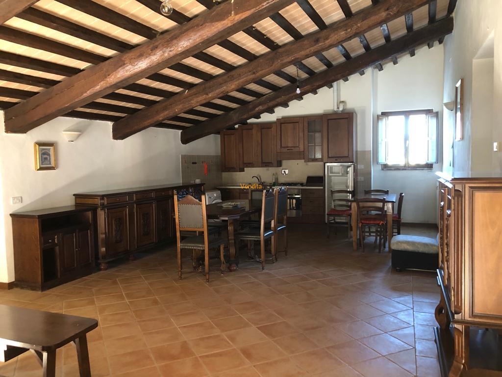 PHOTO-2023-10-10-16-50-57